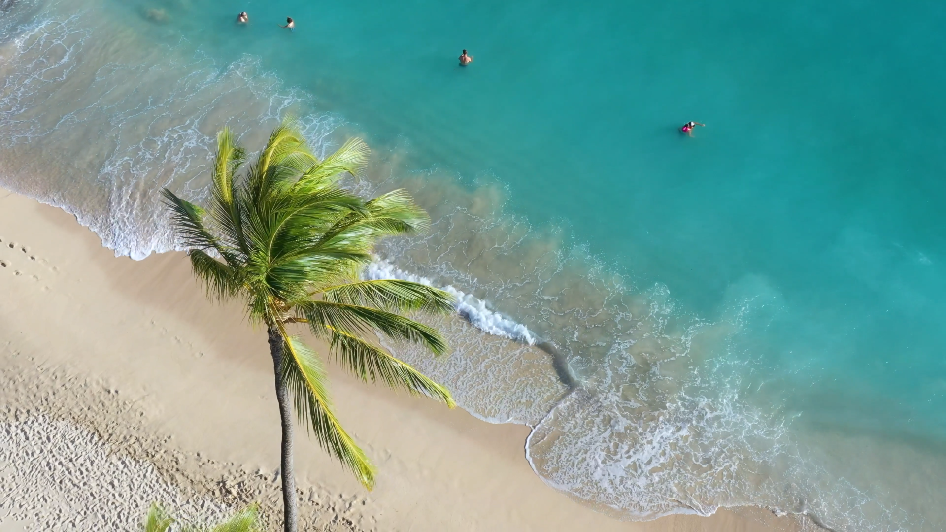 Start up del portal www.experienciascostablanca.com - 8 de junio 2024 en la conferencia Viajeros del Mundo 3.0 que celebraremos en el hotel AR Diamante Beach en Calpe #experienciascostablanca