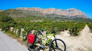 5 motivos para visitar una bodega con amigos en la Costa Blanca-Alicante 🍇🍷 www.experienciascostablanca.com