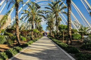 Valencia: elegida mejor ciudad del mundo para viajes sénior en 2026 🌞🌴 www.experienciascostablanca.com