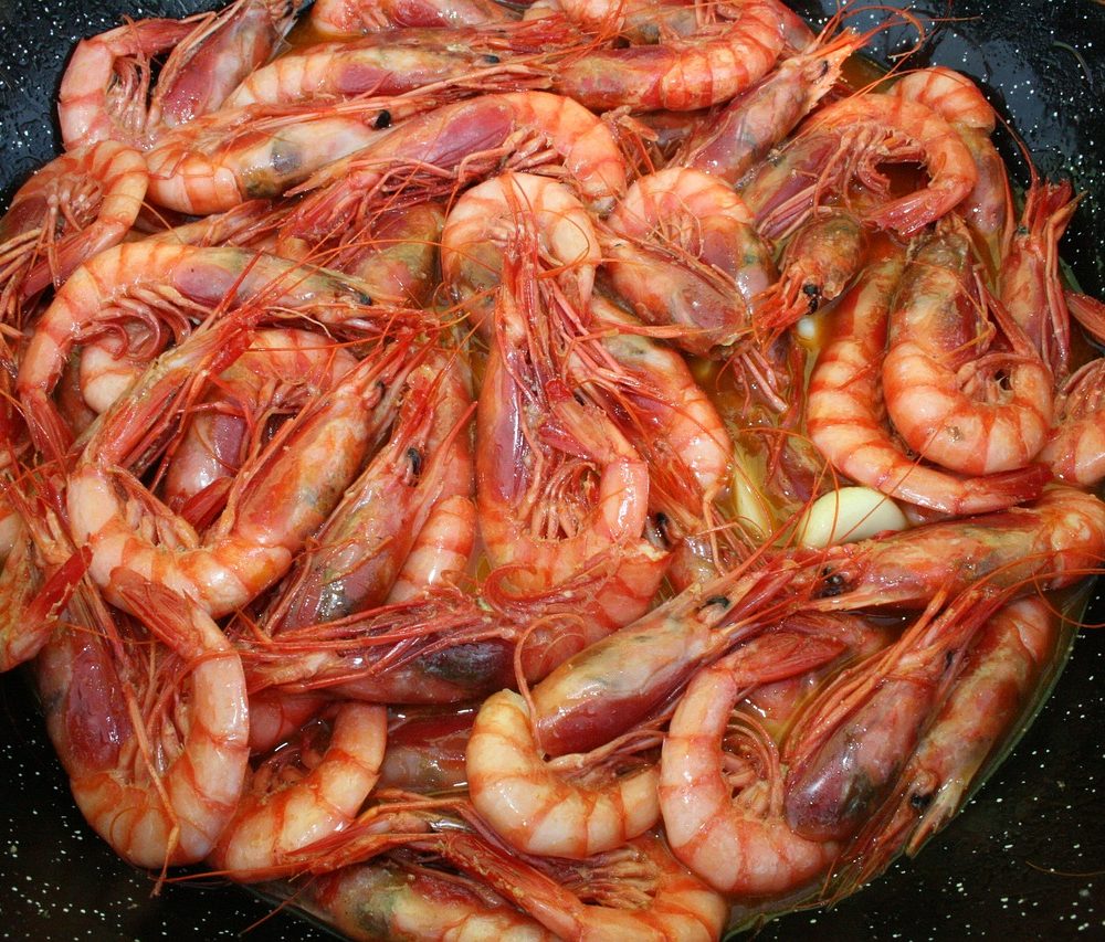 Garnalen aan de Costa Blanca INFO: www.experienciascostablanca.com
