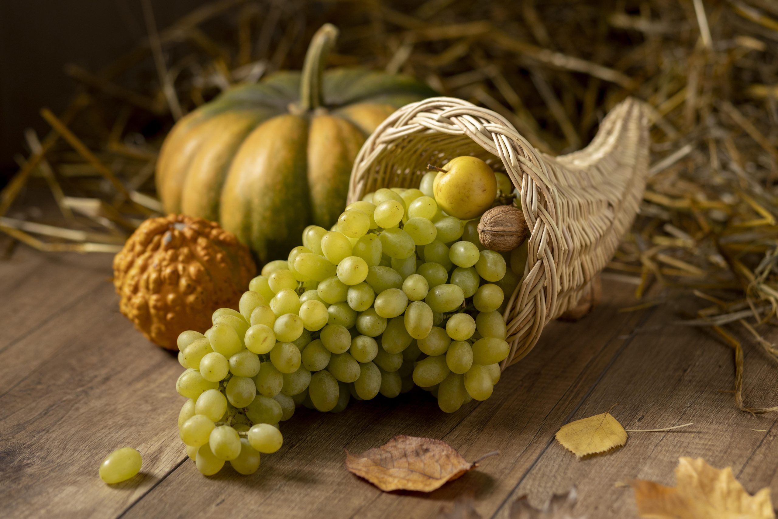 History of wine in the Marina Alta - Costa Blanca by www.experienciascostablanca.com - Foto: Freepik