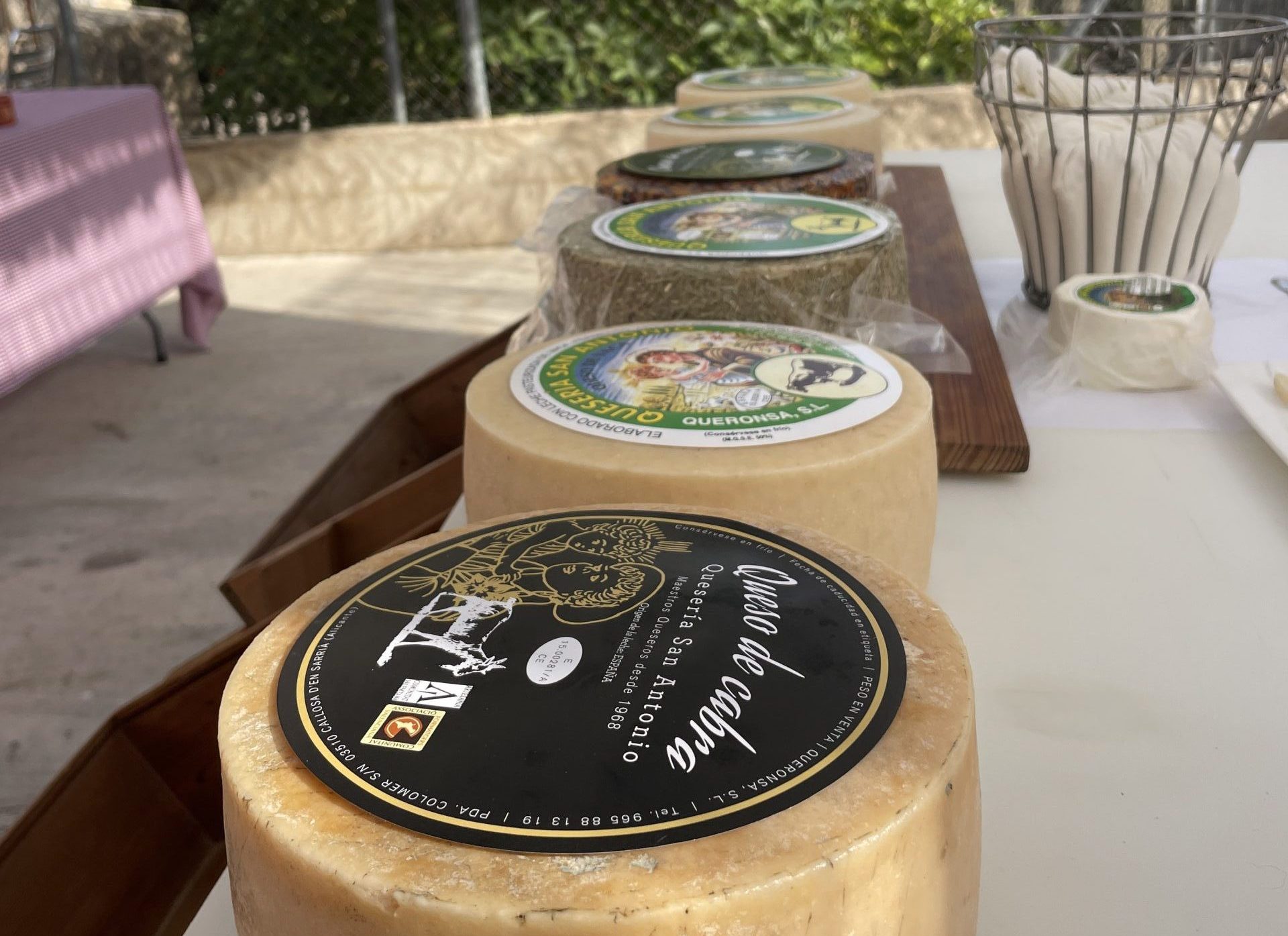 7 Razones imperdibles para visitar una Quesería en la Costa Blanca y disfrutar de una Cata de Queso - www.experienciascostablanca.com