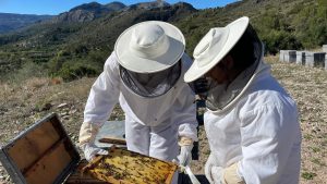 Apiturismo y cata de mieles en la Costa Blanca, beeking and honey tasting - www.experienciascostablanca.com
