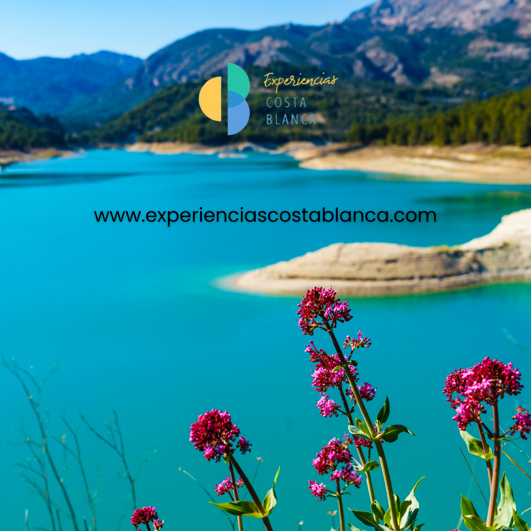 Áreas de picnic y relax en la Costa Blanca - www.experienciascostablanca.com