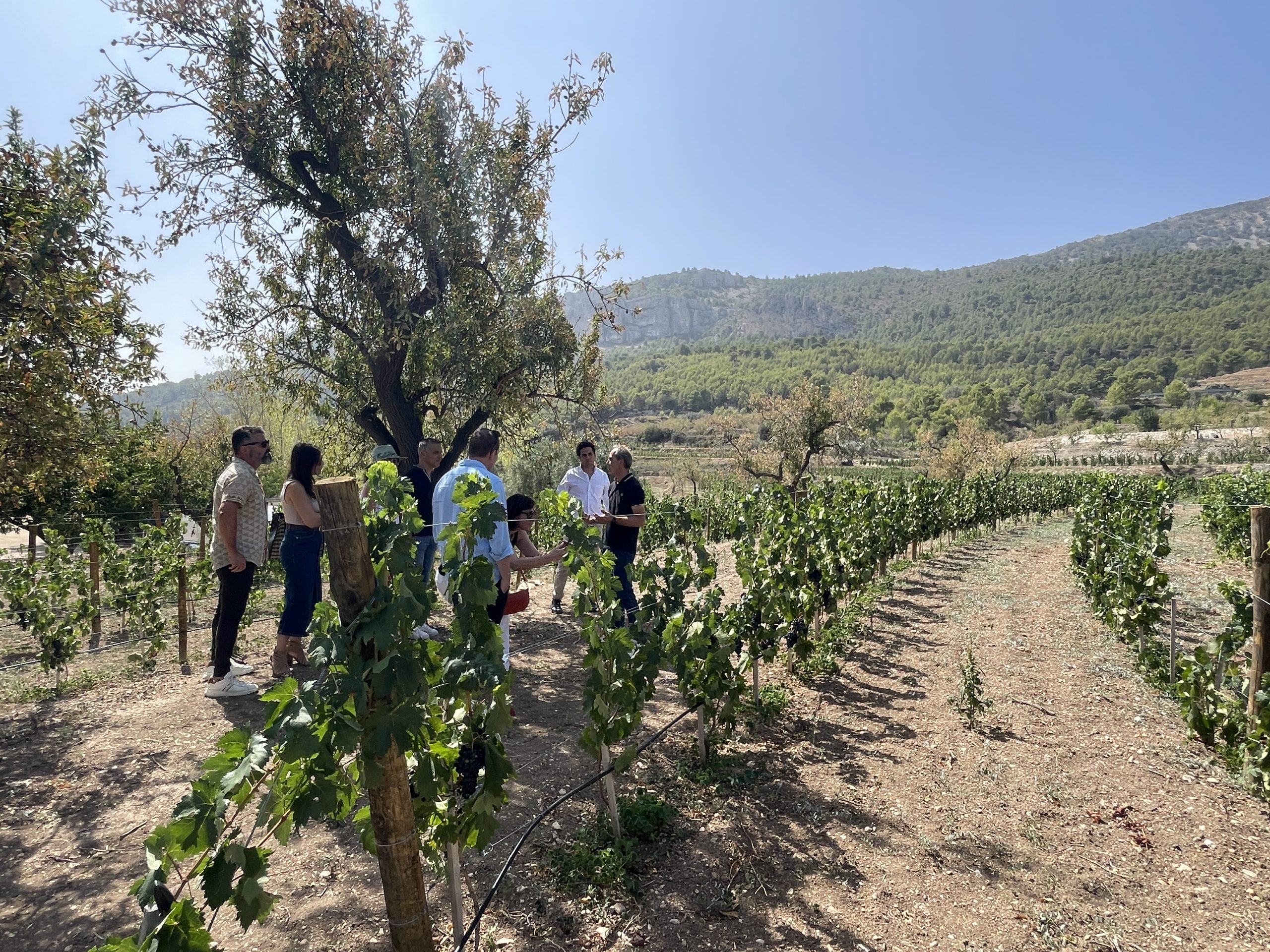 Bezoek aan het Masos-wijnhuis in de Guadalest-vallei met www.experienciascostablanca.com