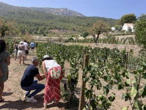5 motivos para visitar una bodega con amigos en la Costa Blanca-Alicante 🍇🍷 www.experienciascostablanca.com