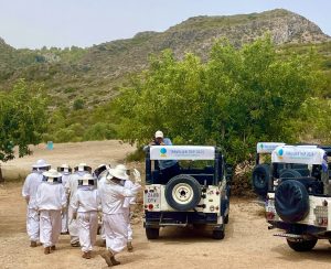 Apiturismo y cata de mieles en la Costa Blanca, beekeeping and honey tasting - www.experienciascostablanca.com