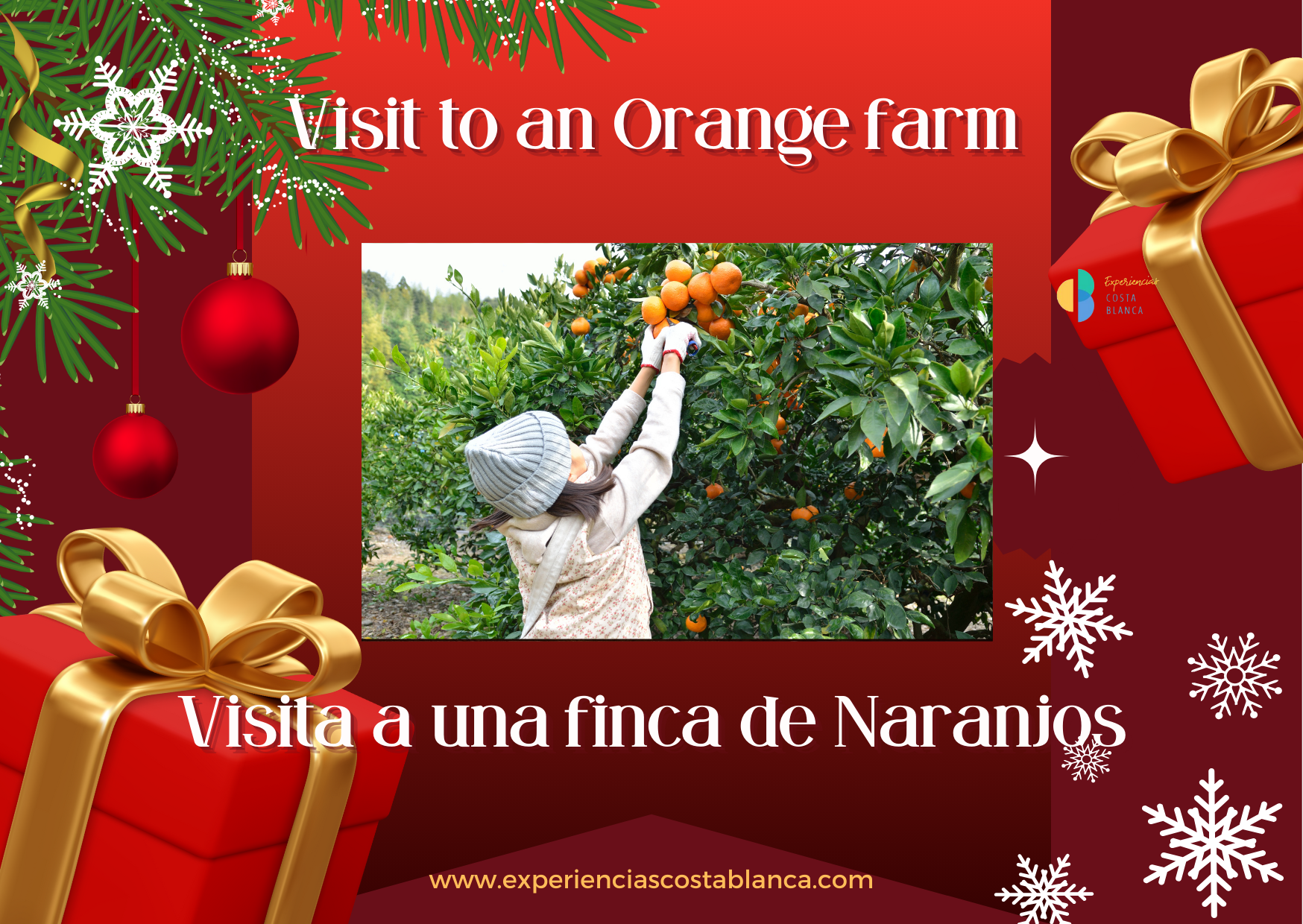 10 perfecte cadeau-ideeën voor deze kerst: verras uw dierbaren met een unieke ervaring aan de Costa Blanca - www.experienciascostablanca.com