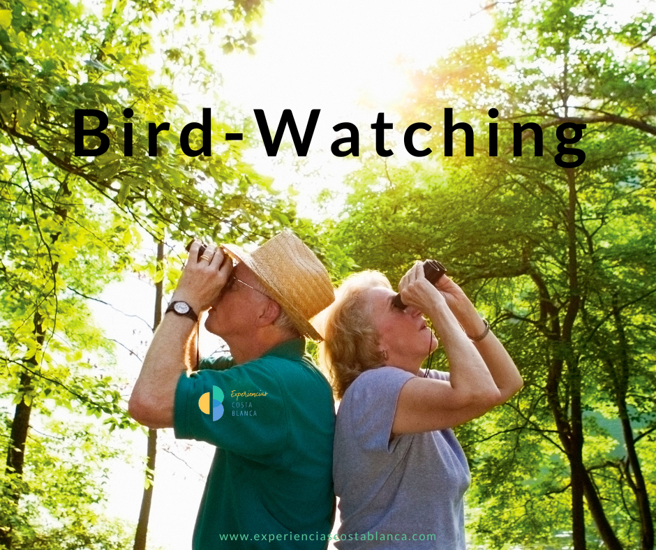 Vogels spotten aan de Costa Blanca: een unieke ervaring - 9 ideale bestemmingen - Met: www.experienciascostablanca.com