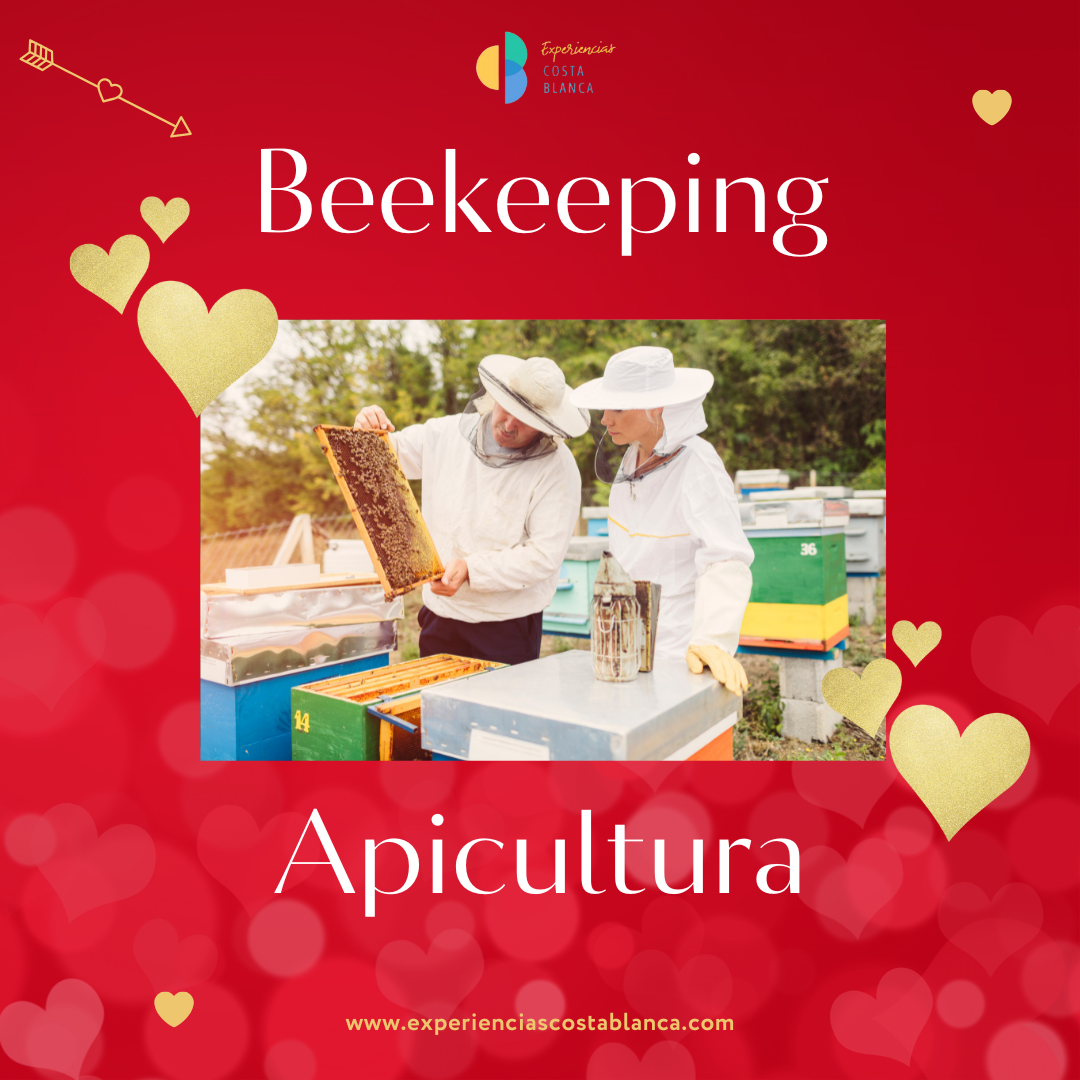 7 Regalos inolvidables para San Valentín en la Costa Blanca - www.experienciascostablanca.com