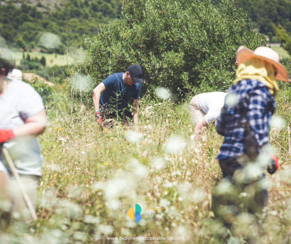 7 Razones para elegir la Costa Blanca-Alicante como destino MICE y para grupos. INFO: www.experienciascostablanca.com