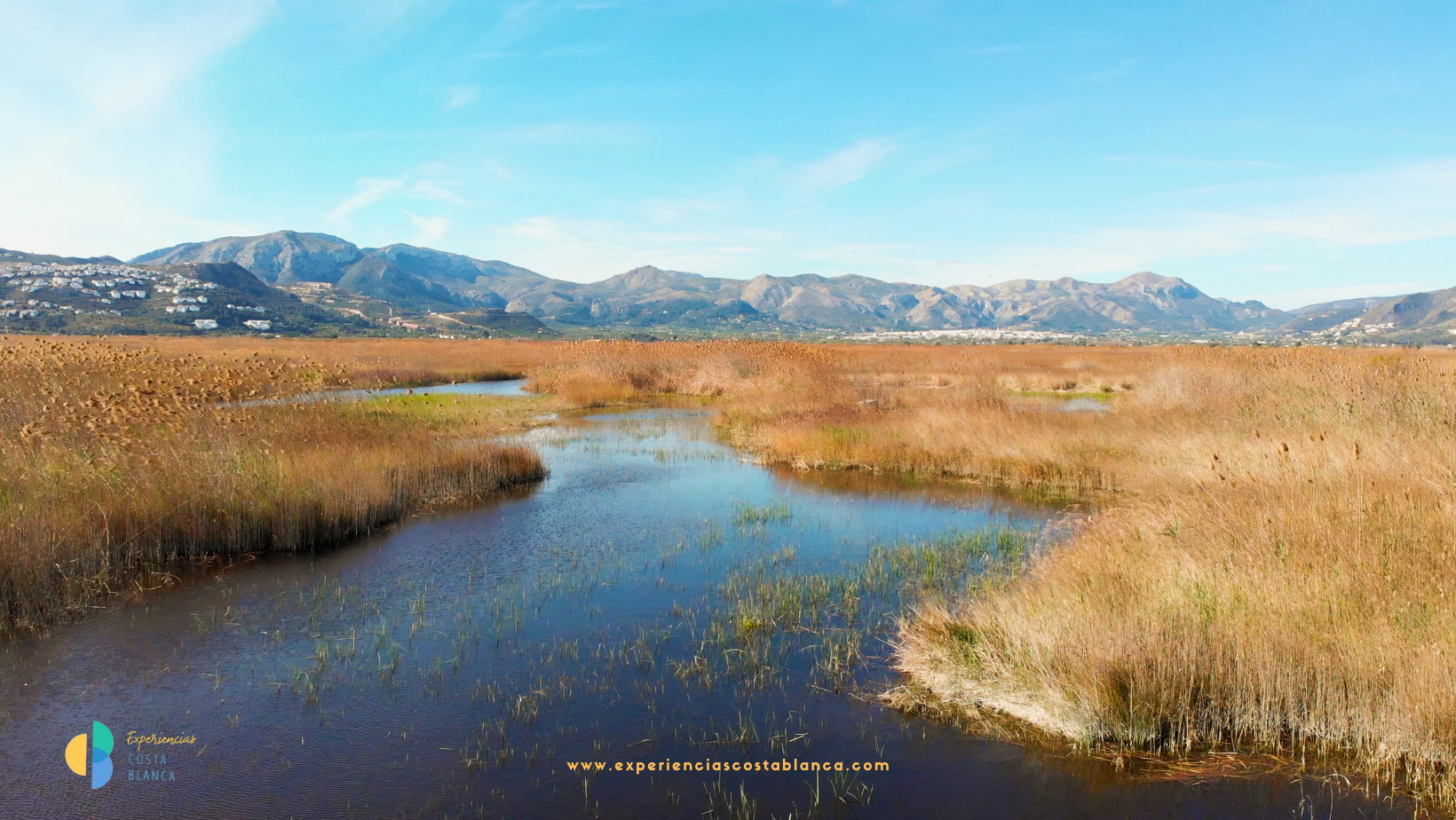 Carnaval en Pego 2025 - Una fiesta única en la Costa Blanca - Carnestoltes del 21 de febrero al 8 de marzo - www.experienciascostablanca.com