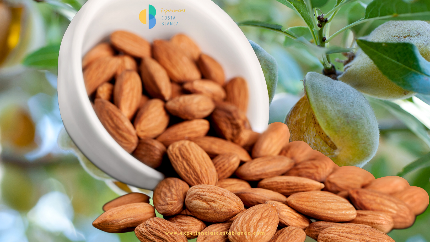 El espectáculo de la floración de los almendros en la Costa Blanca - www.experienciascostablanca.com