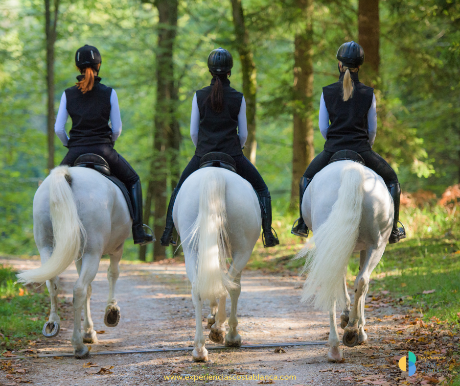 Explora la Costa Blanca a Caballo: Una Aventura única para disfrutar con la familia🐎🐴 - RESERVAS: www.experienciascostablanca.com
