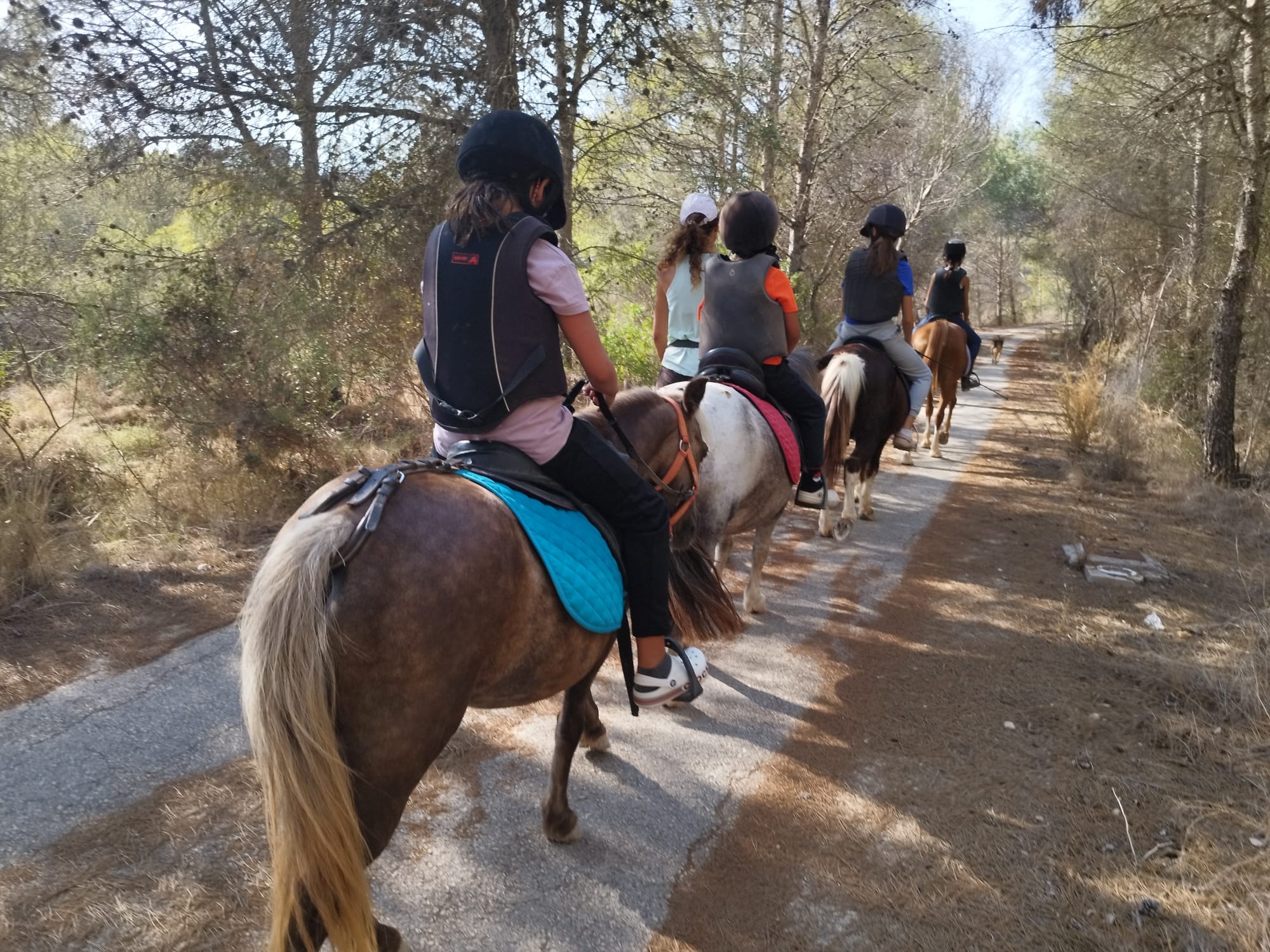 Explora la Costa Blanca a Caballo: Una Aventura única para disfrutar con la familia🐎🐴 Foto de Karen Kasten - RESERVAS: www.experienciascostablanca.com