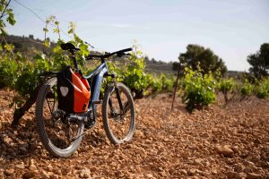 5 motivos para visitar una bodega con amigos en la Costa Blanca-Alicante 🍇🍷 www.experienciascostablanca.com
