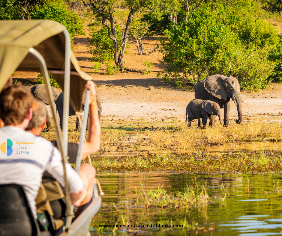 6 Parques con animales en la Costa Blanca y Valencia que harán sonreír a toda la familia - www.experienciascostablanca.com