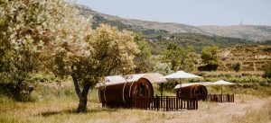 La aventura de Richard en la Costa Blanca: Entre aceite y vinos - INFO: www.experienciascostablanca.com