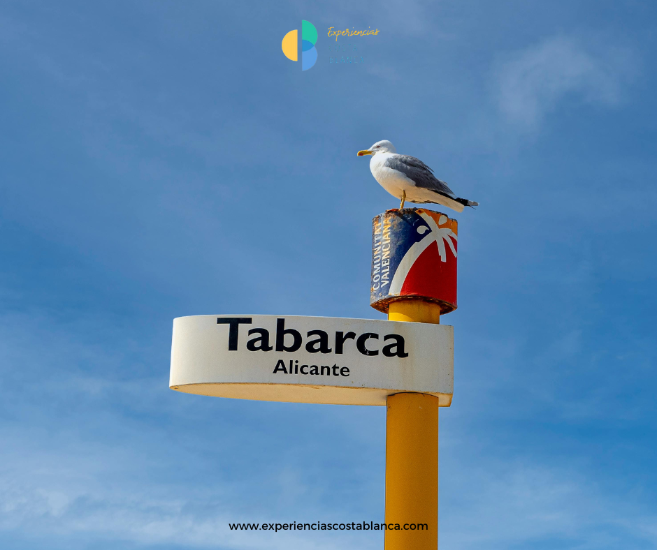 Escápate con tu familia a un paraíso natural - Isla de Tabarca en la Costa Blanca con: www.experienciascostablanca.com