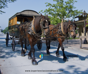 33 Vuelta en Carro a la Provincia de Alicante del 28 de junio al 5 de julio 2025 - www.experienciascostablanca.com