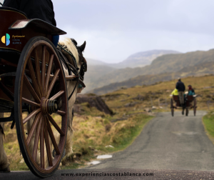 33 Vuelta en Carro a la Provincia de Alicante del 28 de junio al 5 de julio 2025 - www.experienciascostablanca.com
