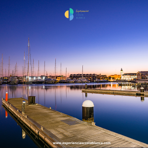 World Paella Day Cup 2025 en Valencia (17–21 de septiembre) - www.experienciascostablanca.com
