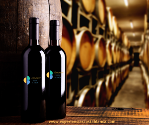 Do you know the Wine Route Alicante-Costa Blanca?🍷🍇 ¿Conoces la Ruta del Vino de Alicante-Costa Blanca? INFO: www.experienciascostablanca.com