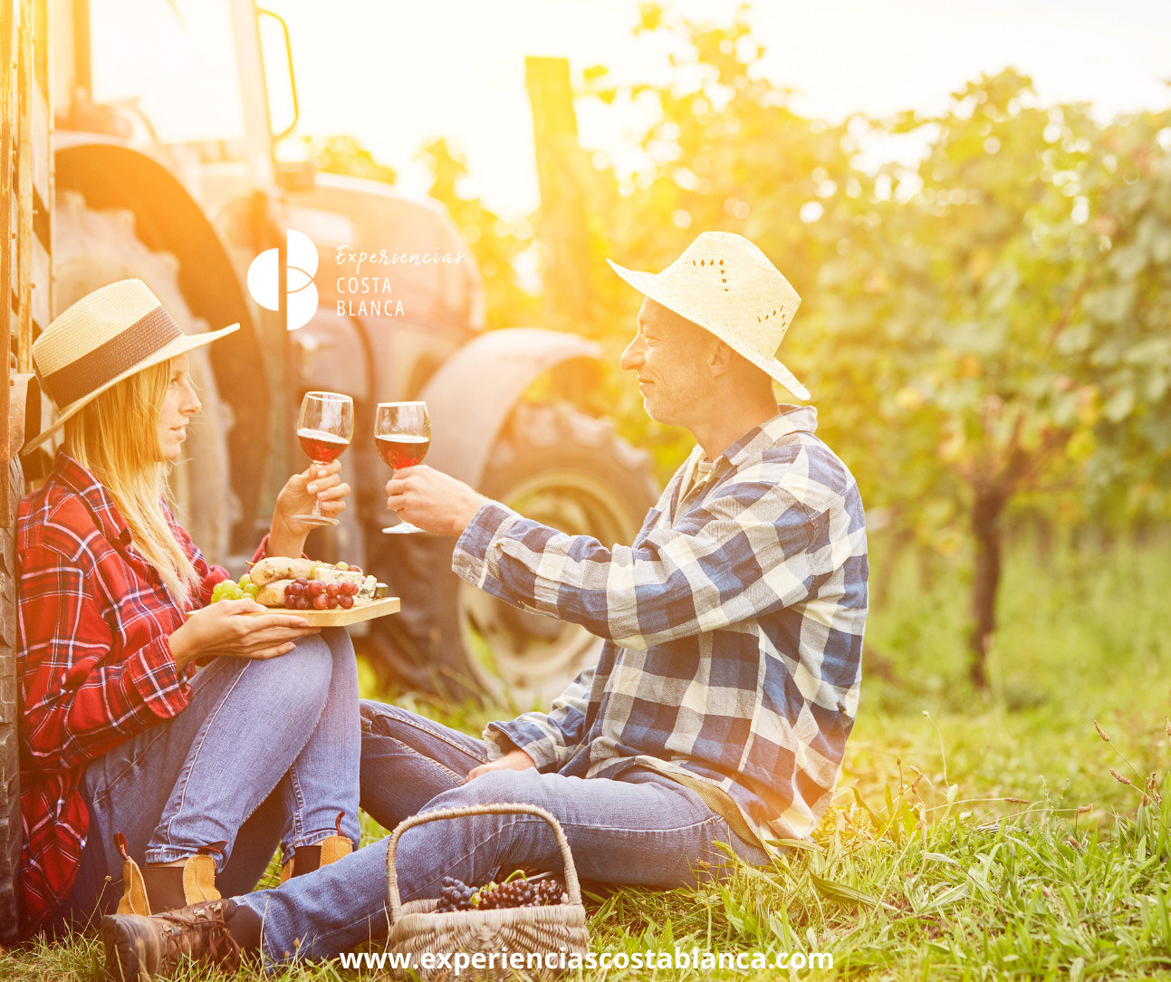 Do you know the Wine Route Alicante – Costa Blanca?🍷🍇 ¿Conoces la Ruta del Vino de Alicante-Costa Blanca? INFO: www.experienciascostablanca.com