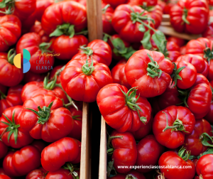 La Tomatina 2025 in Buñol: The most fun tomato fight in the world - La Tomatina 2025 en Buñol: ¡La batalla de tomates más divertida del mundo! www.experienciascostablanca.com