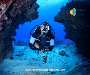 The 7 Best Diving Spots on the Costa Blanca-Alicante :Los 7 mejores lugares para bucear en la Costa Blanca - Alicante 🤿 BOOK: www.experienciascostablanca.com