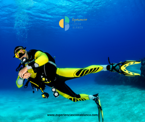 The 7 Best Diving Spots on the Costa Blanca – Alicante :Los 7 mejores lugares para bucear en la Costa Blanca - Alicante 🤿 BOOK: www.experienciascostablanca.com