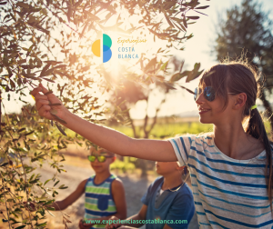 Sabores de casa: los productos kilómetro 0 de la Marina Alta y Marina Baixa - www.experienciascostablanca.com