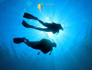 The 7 Best Diving Spots on the Costa Blanca – Alicante :Los 7 mejores lugares para bucear en la Costa Blanca - Alicante 🤿 BOOK: www.experienciascostablanca.com