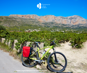 Costa Blanca interior - El tesoro escondido de Alicante: 4 Rutas con www.experienciascostablanca.com