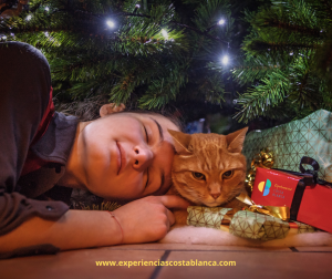 La mágica historia de Sinterklaas: el Santa Claus de los Países Bajos y Bélgica que llega desde España - www.experienciascostablanca.com