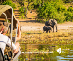 Qué hacer en Navidad en la Costa Blanca con niños - www.experienciascostablanca.com