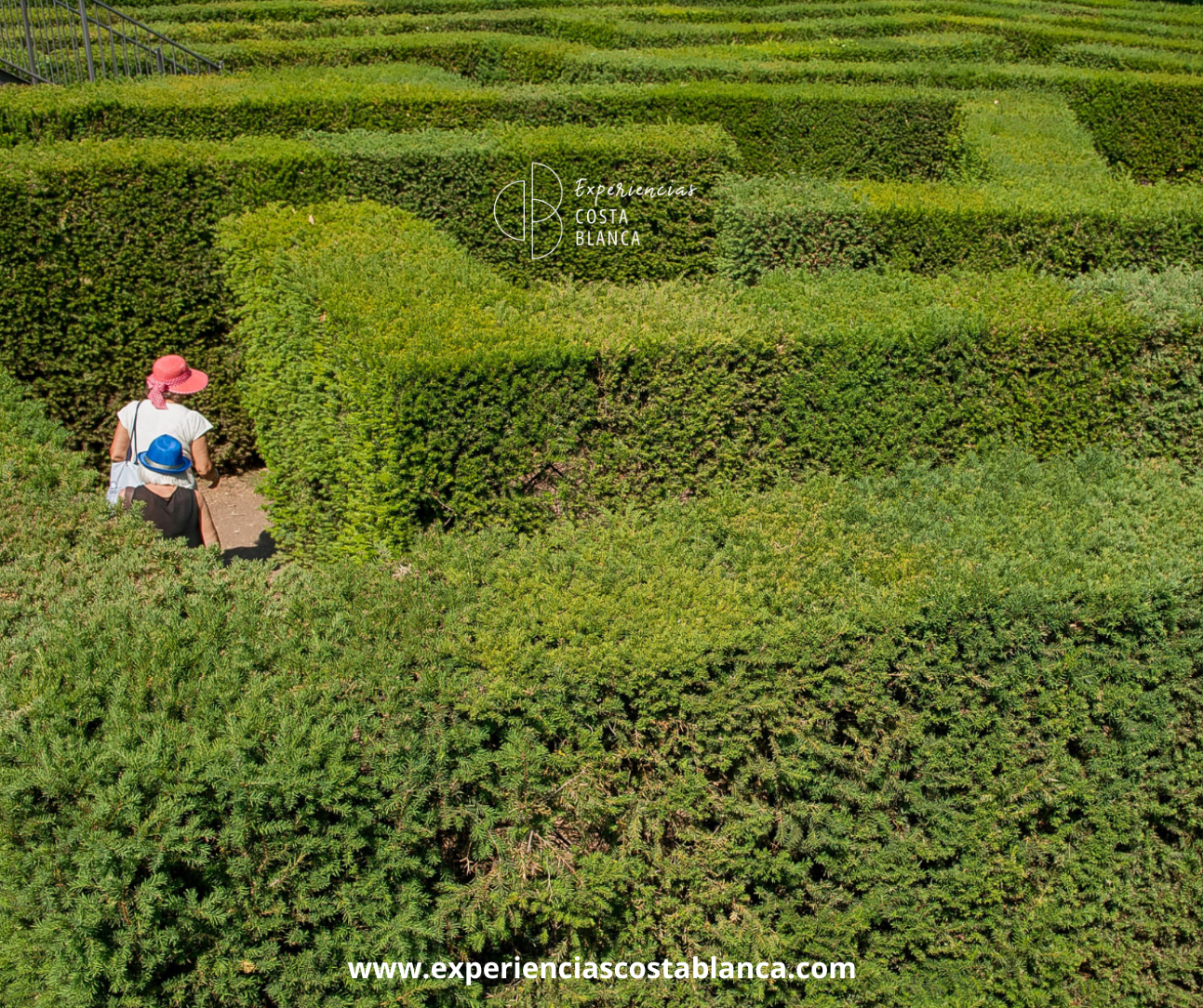 Discover the most beautiful Hedge Mazes on the Costa Blanca-Alicante 🧭🌳 Descubre los Laberintos vegetales más bonitos de la Costa Blanca - www.experienciascostablanca.com