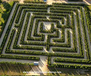 Descubre los Laberintos vegetales más bonitos de la Costa Blanca - www.experienciascostablanca.com