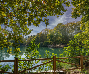 Descubre los Laberintos vegetales más bonitos de la Costa Blanca - www.experienciascostablanca.com