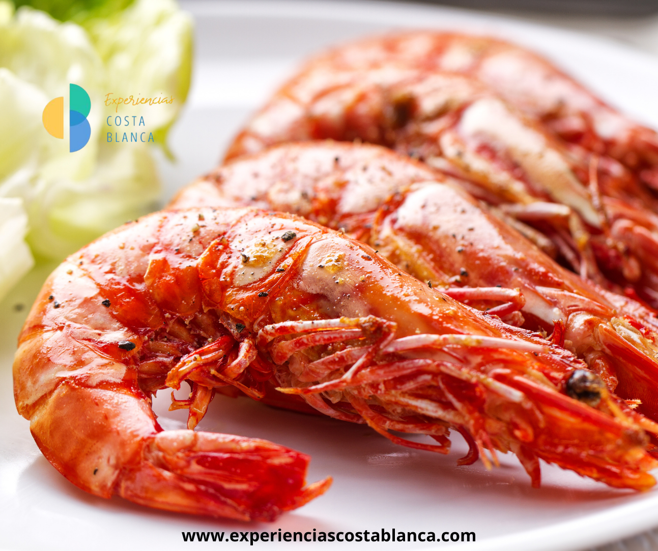 Talento y sabor mediterráneo: así se vive el Concurso de la Gamba Roja de Dénia el 24 de marzo 2026 🦐✨ www.experienciascostablanca.com