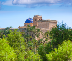 Palacio de Altamira, con la cúpula azul de la Basílica de Santa María al fondo, rodeados por el famoso Palmeral de Elche 🎸 www.experienciascostablanca.com