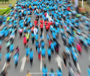 Medio Maratón de Elche 2026 - El más antiguo del mundo: 22 de Marzo🏃‍♀️ www.experienciascostablanca.com
