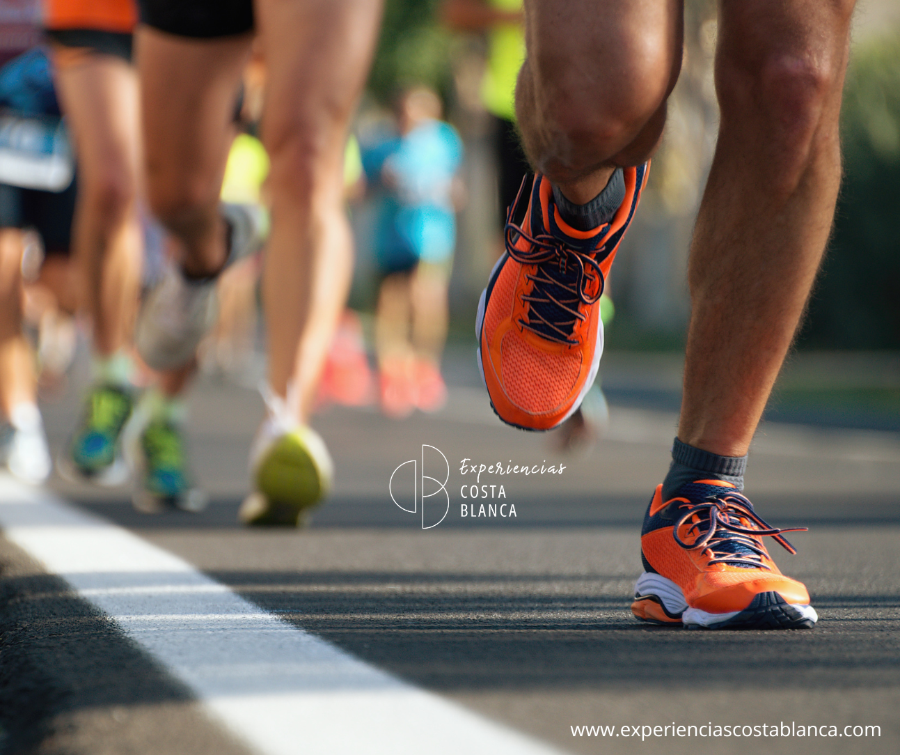 Medio Maratón de Elche 2026 - El más antiguo del mundo: 22 de Marzo🏃‍♀️ www.experienciascostablanca.com