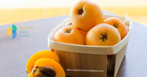 Nispero en la Costa Blanca: La Fruta mas deliciosa y sana de la Primavera 🍊www.experienciascostablanca.com