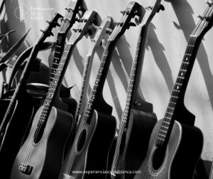 Festival de Guitarra en Elche: 24 al 31 de julio 2026 🎸 www.experienciascostablanca.com