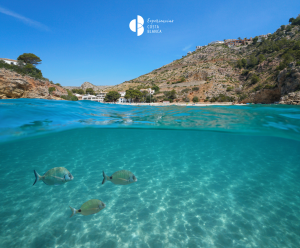 Qué hacer en Javea en un día: Casco antiguo-Kayak-Clase de Paella y paseo privado en Barco ⛵🥘 www.experienciascostablanca.com