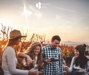 Vendimia en Septiembre en Alicante y la Costa Blanca: Bodegas y Experiencias para winelovers 🍇 www.experienciascostablanca.com
