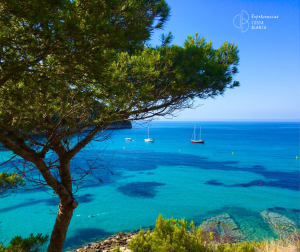 Things to Do in Calpe in One Day: Sea, Nature, History and Gastronomy 🦩 www.experienciascostablanca.com